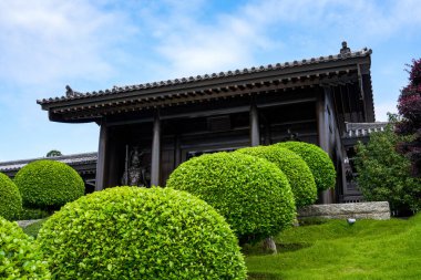 Hong Kong 'daki Tsz Shan Tapınağı' nın ahşap yapısı Japon tarzı Tang tarzı mimari tapınağı.