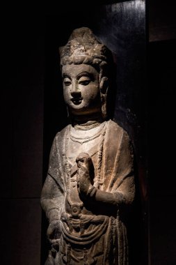 Çeşitli ülkelerden Budist Buda heykelleri ve Hong Kong 'daki Tsz Shan Manastırı tarafından toplanan dönemler.