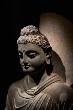 Çeşitli ülkelerden Budist Buda heykelleri ve Hong Kong 'daki Tsz Shan Manastırı tarafından toplanan dönemler.