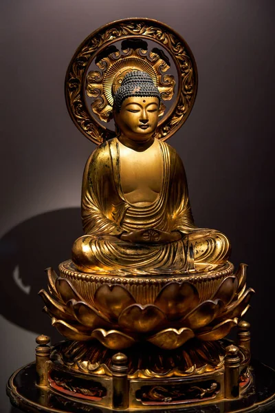 Estatuas Budas Budistas Varios Países Épocas Recogidas Por Monasterio Tsz — Foto de Stock