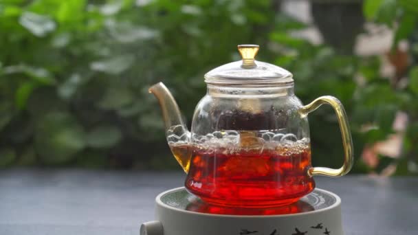 在美丽的花园的电炉上 用玻璃杯茶壶煮红茶 — 图库视频影像
