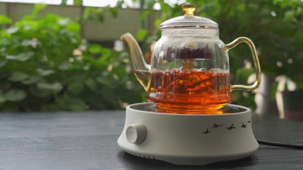 Zaparzanie Czarnej Herbaty Szklanym Czajniku Kuchence Elektrycznej Pięknym Ogrodzie — Wideo stockowe