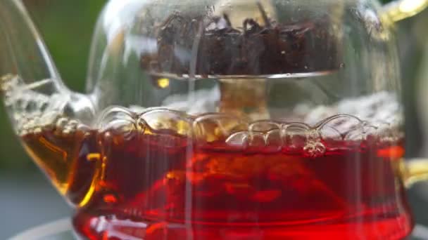 Elevated Slow Motion Black Tea Brewing Glass Teapot Electric Stove — Stock Video