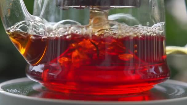 园中电炉玻璃茶壶中红茶酿造的高程慢动作 — 图库视频影像