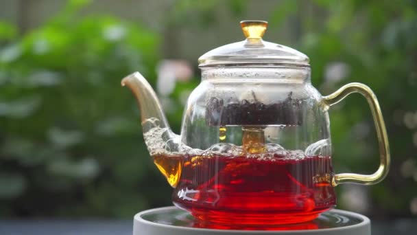 园中电炉玻璃茶壶中红茶酿造的高程慢动作 — 图库视频影像