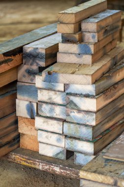 Mobilya işleme fabrikasında düzgün düzenlenmiş ahşap şeritlerin ham maddeleri