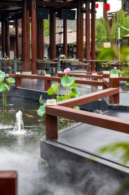 Enfes ve lüks Çin bahçesi lotus koi havuzu.