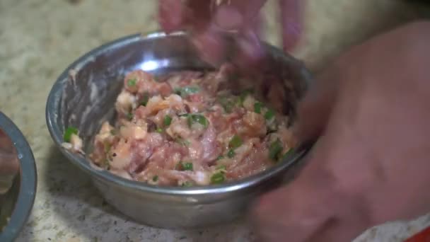 Ein Koch Bereitet Köstliche Fleischfüllung Für Füllung Und Knödel — Stockvideo