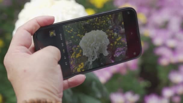 Personas Que Visitan Exposición Crisantemos Toman Fotos Con Varios Dispositivos — Vídeo de stock