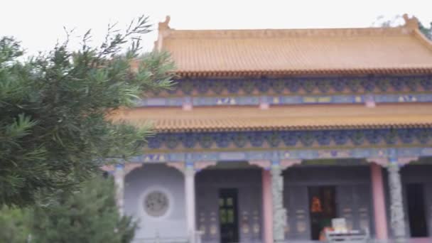 Magnifico Tempio Buddista Cinese Tradizionale Edificio Video Hlg — Video Stock