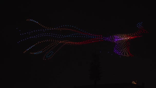 Chinesisches Neujahrsfest Des Drachen Schafft Mit 000 Drohnen Eine Phönix — Stockvideo