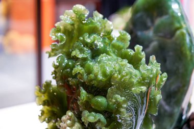 Çin geleneksel lahana yontması.