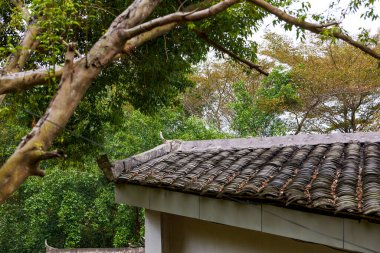 Ormanda kamp alanındaki kulübe binasını kapatın.