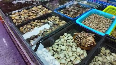 Pekin, Guangxi 'deki deniz ürünleri pazarında çeşitli deniz kabukları ve deniz kabukları satılıyor.