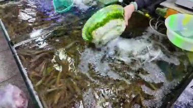Deniz ürünleri pazarında, su ürünlerinde çeşitli yenilebilir karidesler satılıyor.