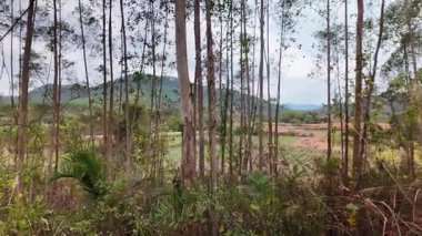 Çin, Guangxi 'nin vahşi dağlık bölgesinde çorak dağ manzarası.