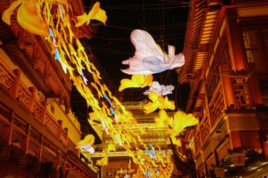Yu Garden Yeni Yıl Feneri Sergisi Şangay, Çin