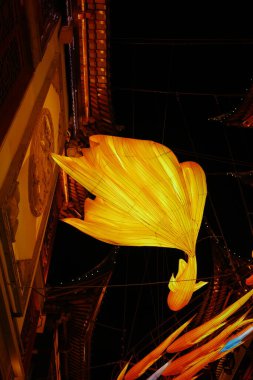 Yu Garden Yeni Yıl Feneri Sergisi Şangay, Çin