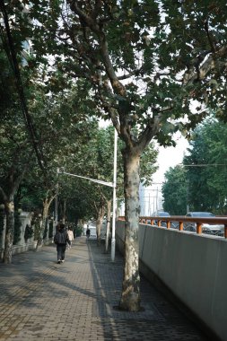 Şangay sokak manzarası ve modern ve klasik binalar