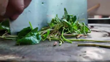 Bir şef taze Gotu Kola doğruyor.