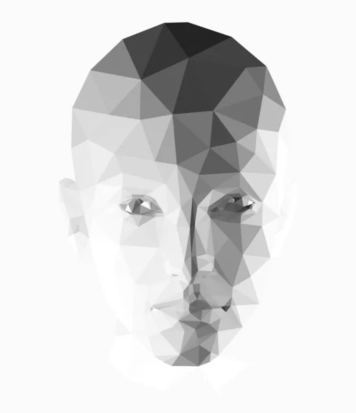 女性の頭部多角形3Dデザイン 三角形の線で作られた芸術 半トーンの遷移を持つ低ポリデザイン — ストックベクタ