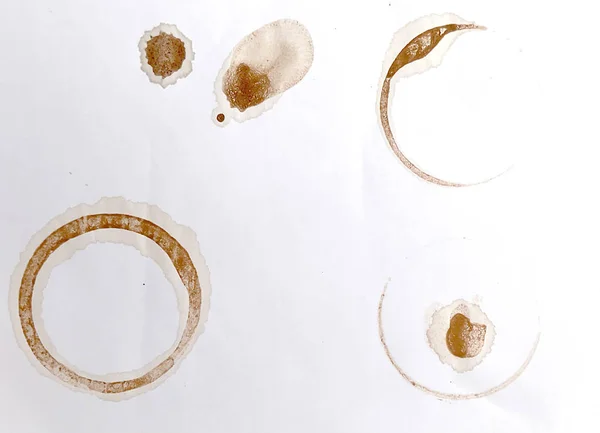 coffee cup ring stain on paper texture