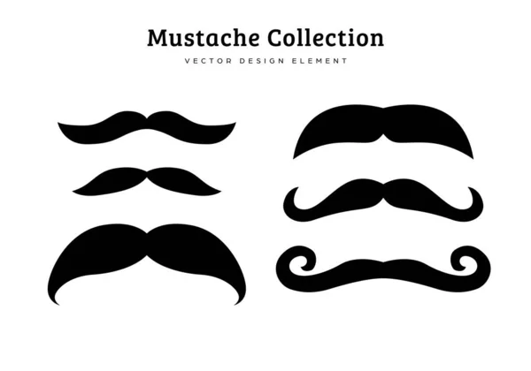 stock vector collection of mustache style vector illustration features Batwing, mustachio, cowboy, handlebar moustache style