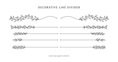 Metin düzeni ayırıcı süsleme vektörü ögesi için sarmaşık satırı ayırıcı bırakır
