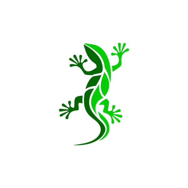Yeşil kertenkele soyut logo tasarımı.