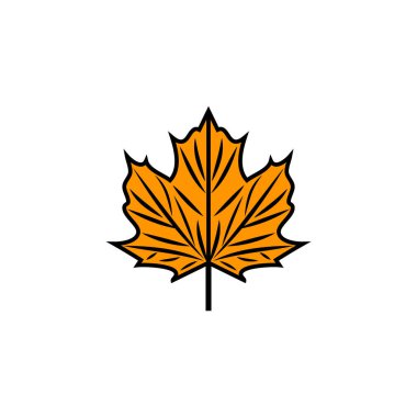 Sonbahar akçaağaç yaprağı vektör çizim.