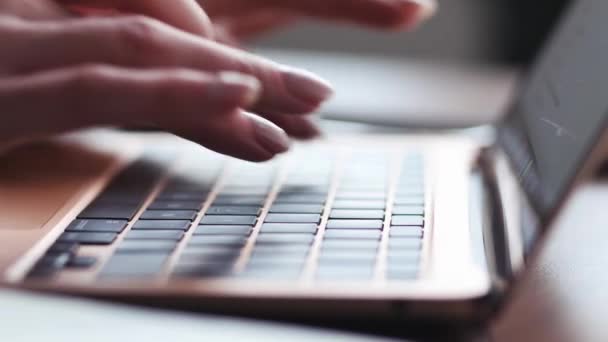 Jovens Mãos Femininas Mensagens Texto Teclado Laptop Perto Mulher Negócios — Vídeo de Stock