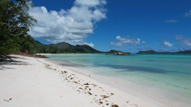 Seyşeller adaları güzel sahil ve plaj manzarası yukarıdan