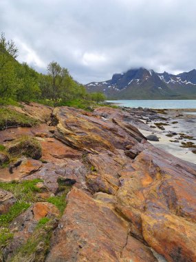 Norveç 'te bir fiyordun kıyısındaki kızıl kıyı kayalıkları
