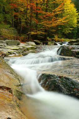 Sonbahar renkli orman ve hızlı şelaleler uzun süre açıkta kalır. Güzel doğa..
