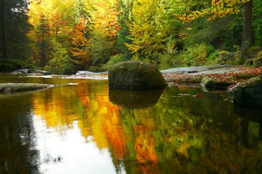 Sonbahar renkli orman ve hızlı şelaleler uzun süre açıkta kalır. Güzel doğa..