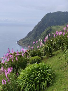 Portekiz, Azores, Sao Miguel adasındaki vahşi ve güzel kıyı şeridi.