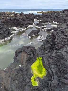 Sao Miguel, Azores, Portekiz 'deki vahşi sahil kayalıkları.