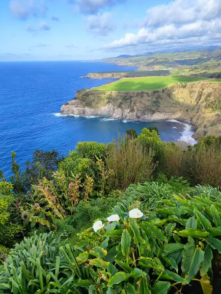 stock image Wild and beautiful coastline on the island of Sao Miguel, Azores, Portugal