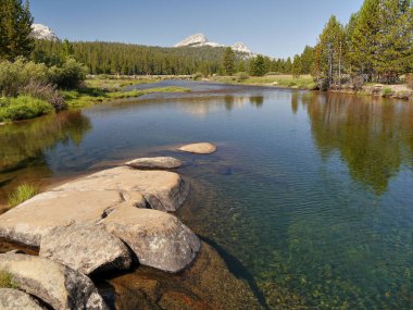 Yosemite Vadisi, Kaliforniya, ABD 'deki bir milli parktaki güzel kaya oluşumları. Güzel doğa.