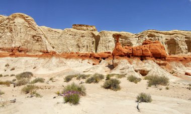 Soyut kayalık çöl manzarası sanki başka bir gezegenden gelmiş gibi. Grand Staircase-Escalante Ulusal Anıtı, Utah, ABD