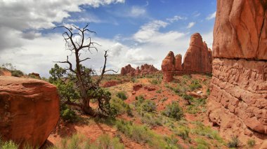 Arches, Utah, ABD 'deki bir milli parkta muhteşem bir kaya oluşumu. Güzel doğa.