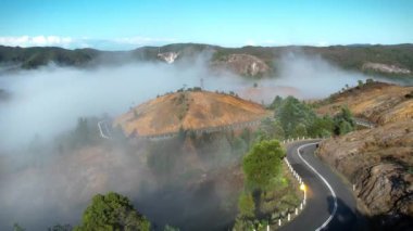 Dağlarda yol yılanları sisli ve sabah güneşli. Yukarıdan inanılmaz Tazmanya.