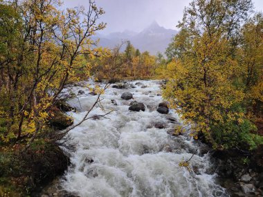 Norveç 'te dağ nehri rengarenk sonbahar manzarasında akıntıya kapılır