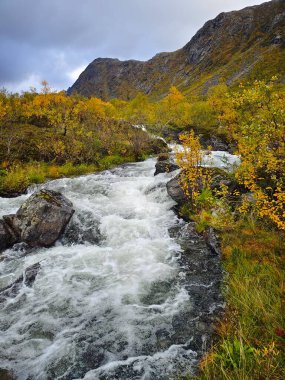 Norveç 'te dağ nehri rengarenk sonbahar manzarasında akıntıya kapılır