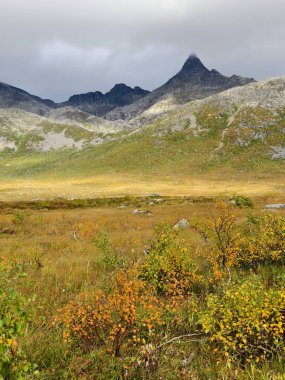 Autumn colorful Norwegian landscape and mountains