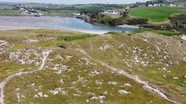 Kumulların en üst manzarası, marram çimleri. İrlanda kıyıları. Resmedilmeye değer bir manzara. Kumullar, video.