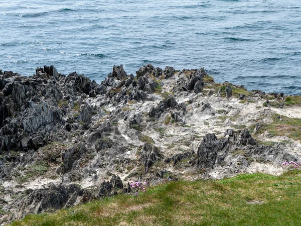 1日に海岸の岩や草 海辺の風景 絵のように美しい海岸 黒い岩の形成と水の体の近くの緑の草 — ストック写真