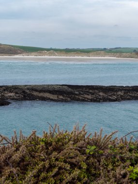 Yoğun çalılar. Clonakilty Körfezi manzarası. Deniz taşları. Resimli bir Avrupa, suya yakın bir kaya. İrlanda 'nın doğası.