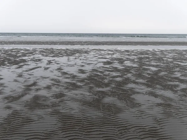 多云的日子里 在低潮的海滨湿透波浪的沙子 荒凉的海滨风景 严酷的性质 — 图库照片