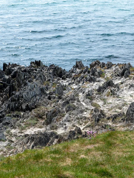 Rock Grass Seaside Landscape Picturesque Coast Black Rock Formation Green — Stock Photo, Image